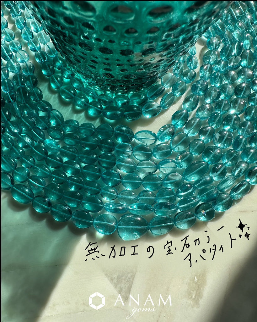 スマホ画像未加工 このアパタイト大勝利𓅯