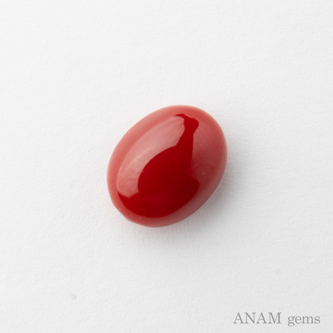 高知産 血赤珊瑚 ルース – ANAM gems・アナムジェムズ