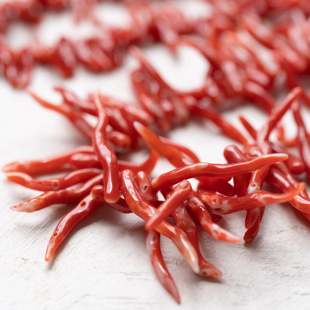 【少量販売追加】血赤サンゴ(コーラル) さざれ 高品質 【天然色】