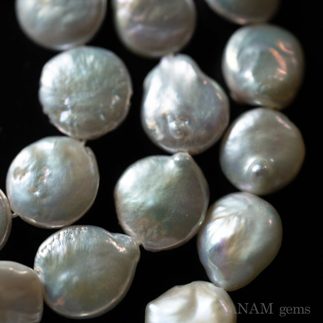 【新ロット】ホワイト 淡水パール コイン