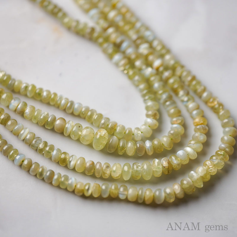 クリソベリルキャッツアイ スムース ボタン(ロンデル)