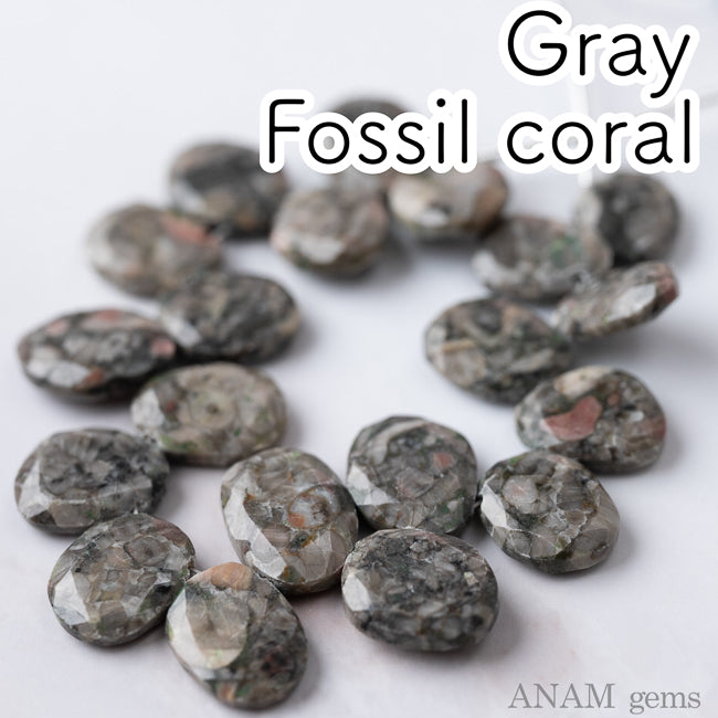 グレー フォッシルコーラル MOMO花スライス