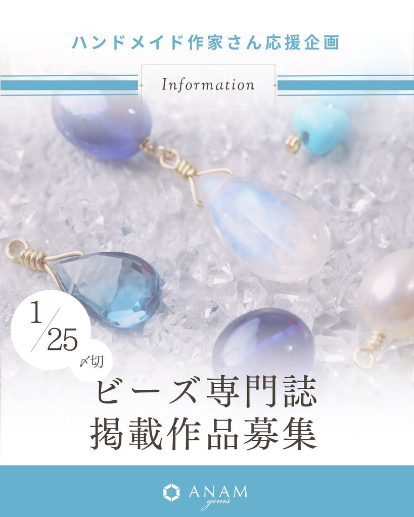 ANAM gems 雑誌掲載企画