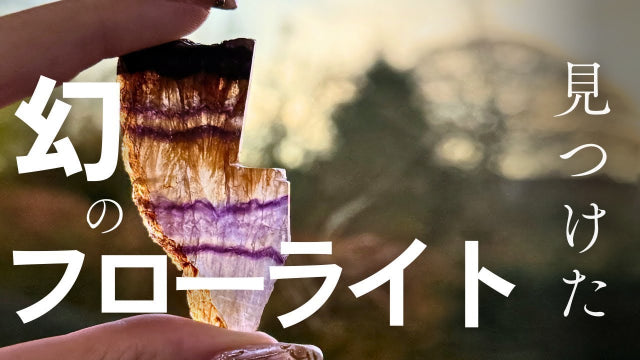 動画を読み込む: 