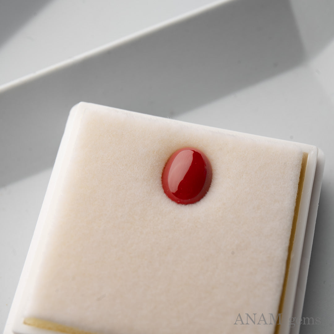 高知産 血赤珊瑚 ルース – ANAM gems・アナムジェムズ