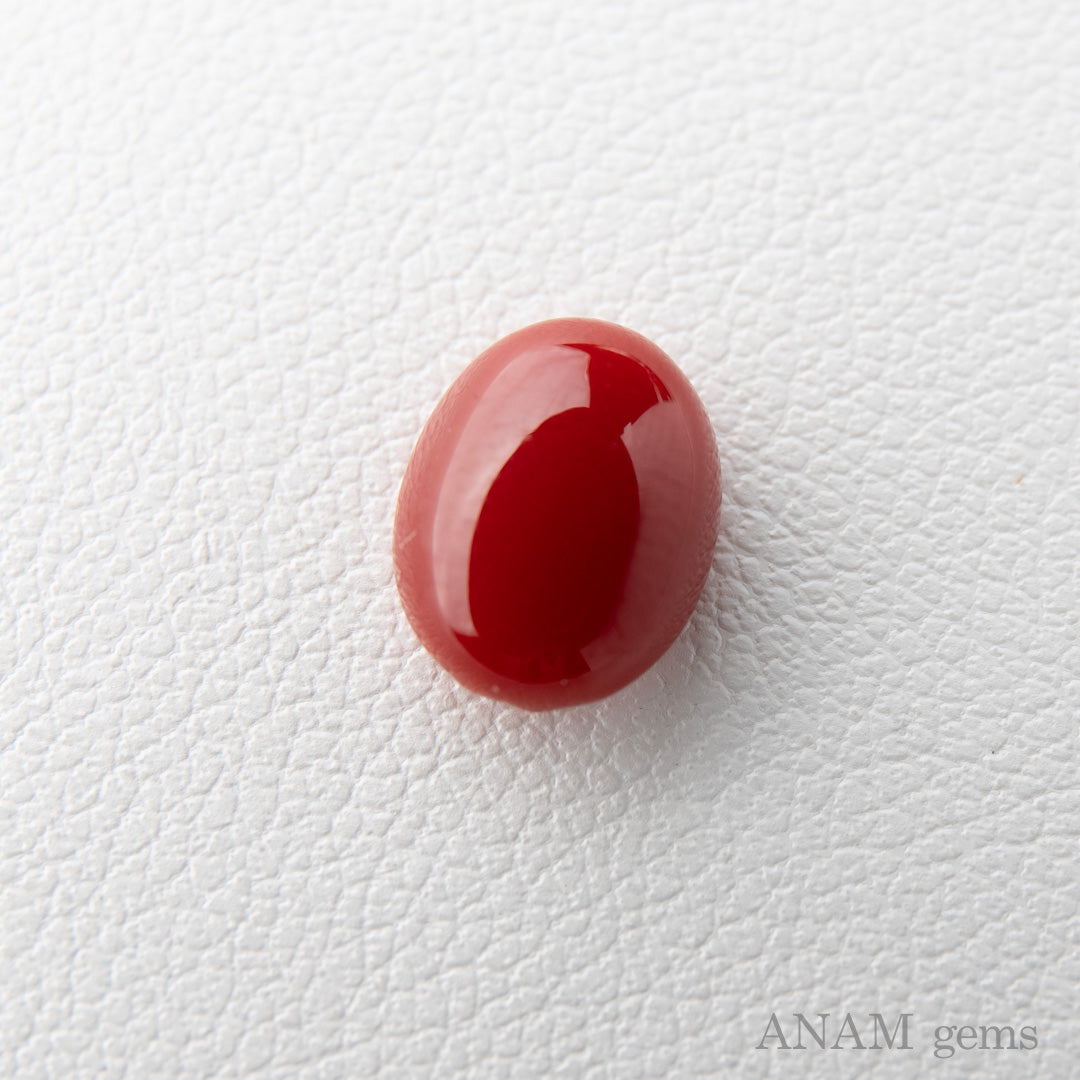 高知産 血赤珊瑚 ルース – ANAM gems・アナムジェムズ