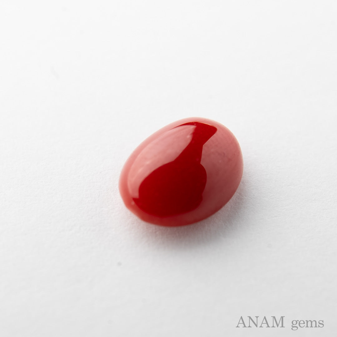 高知産 血赤珊瑚 ルース – ANAM gems・アナムジェムズ