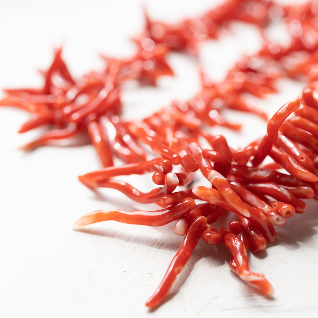 少量販売追加】血赤サンゴ（コーラル） さざれ 高品質 【天然色】-ANAM