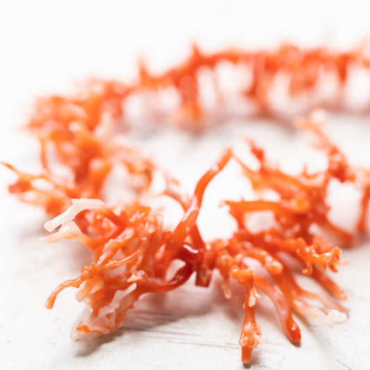【Add a small amount of sale】 【Showa Dead Stock】 Pink coral (coral) Sazare high quality blurring S size [natural color]