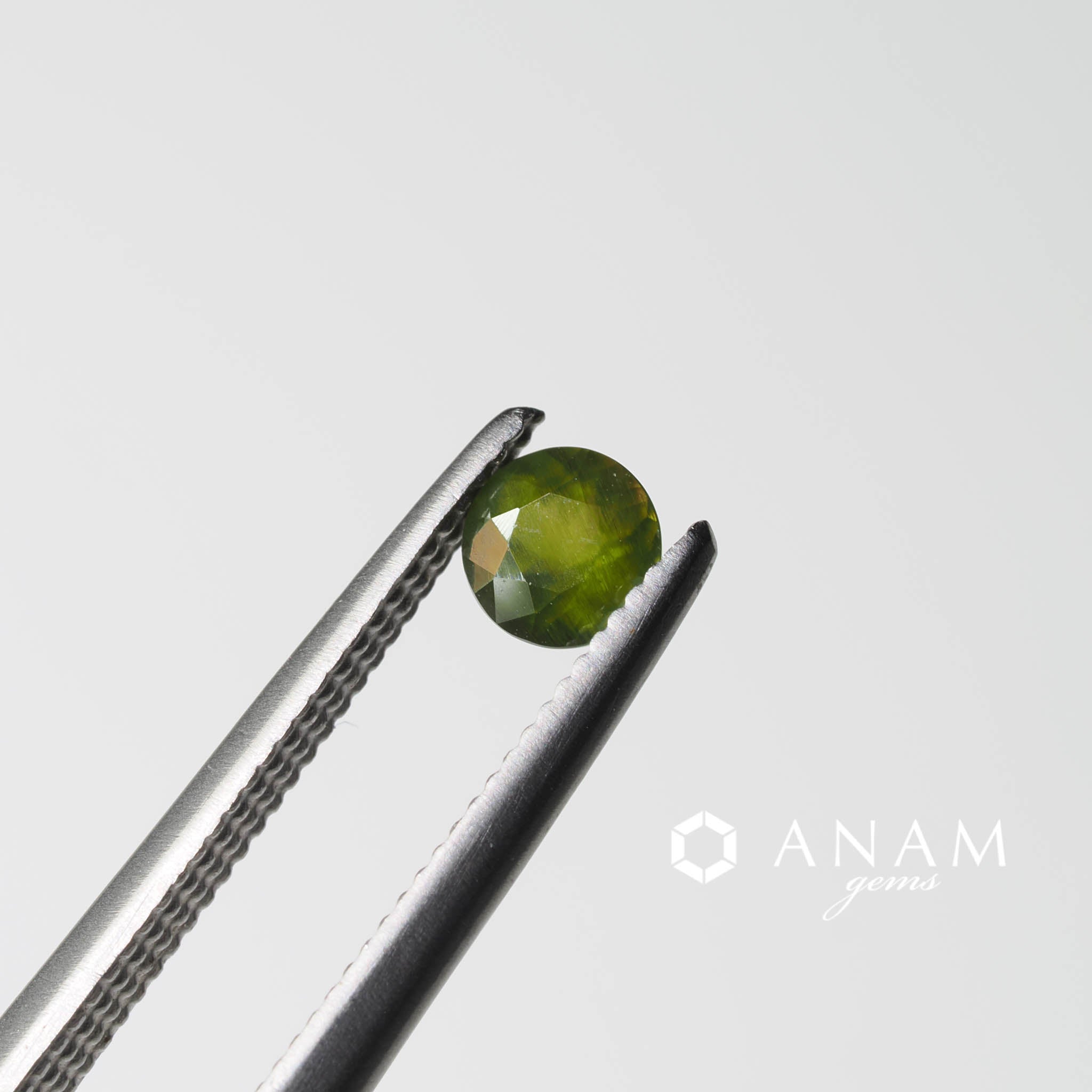 エンスタタイト ラウンドカット ルース Enstatite 0.18ct ‖ANAM gems