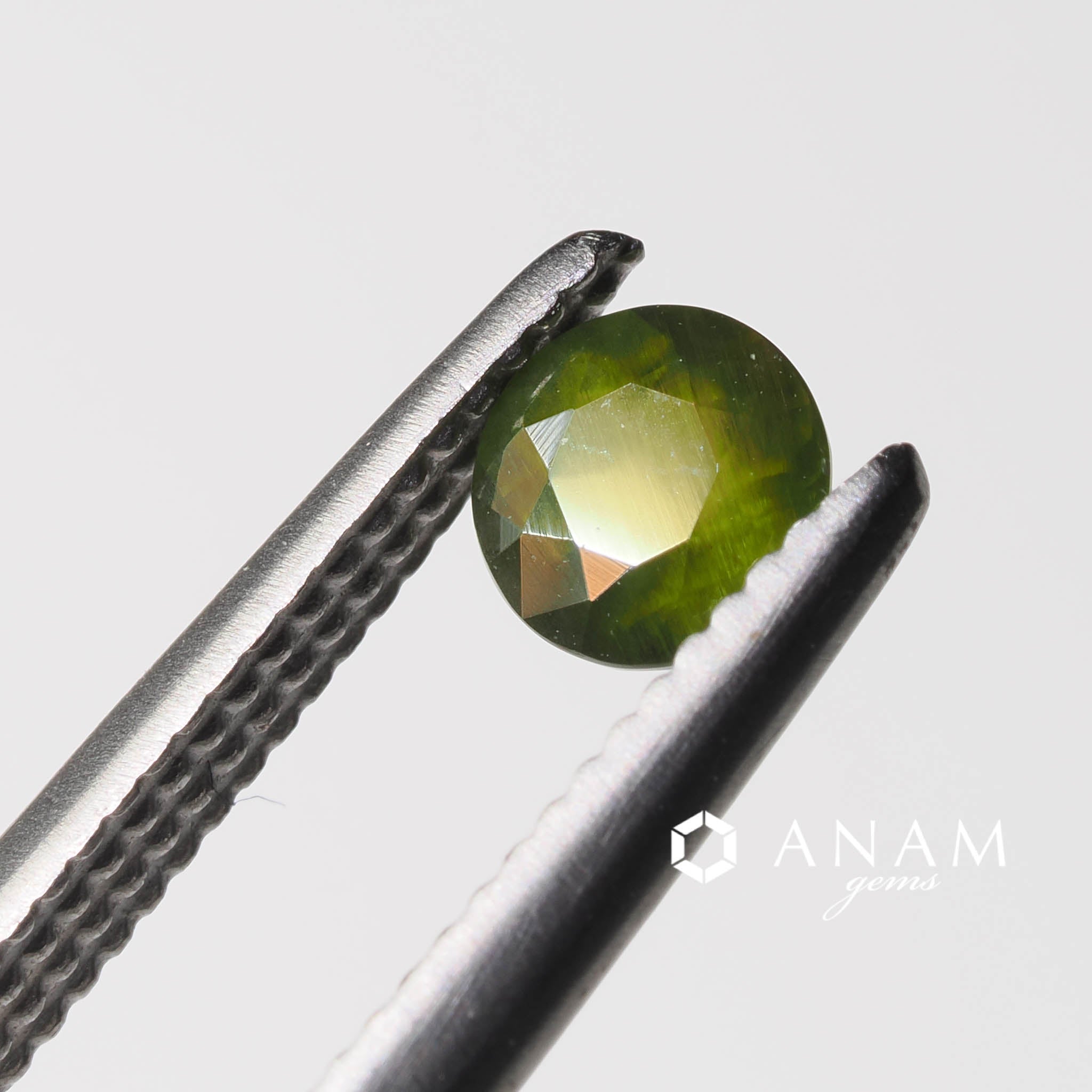 エンスタタイト ラウンドカット ルース Enstatite 0.18ct ‖ANAM gems