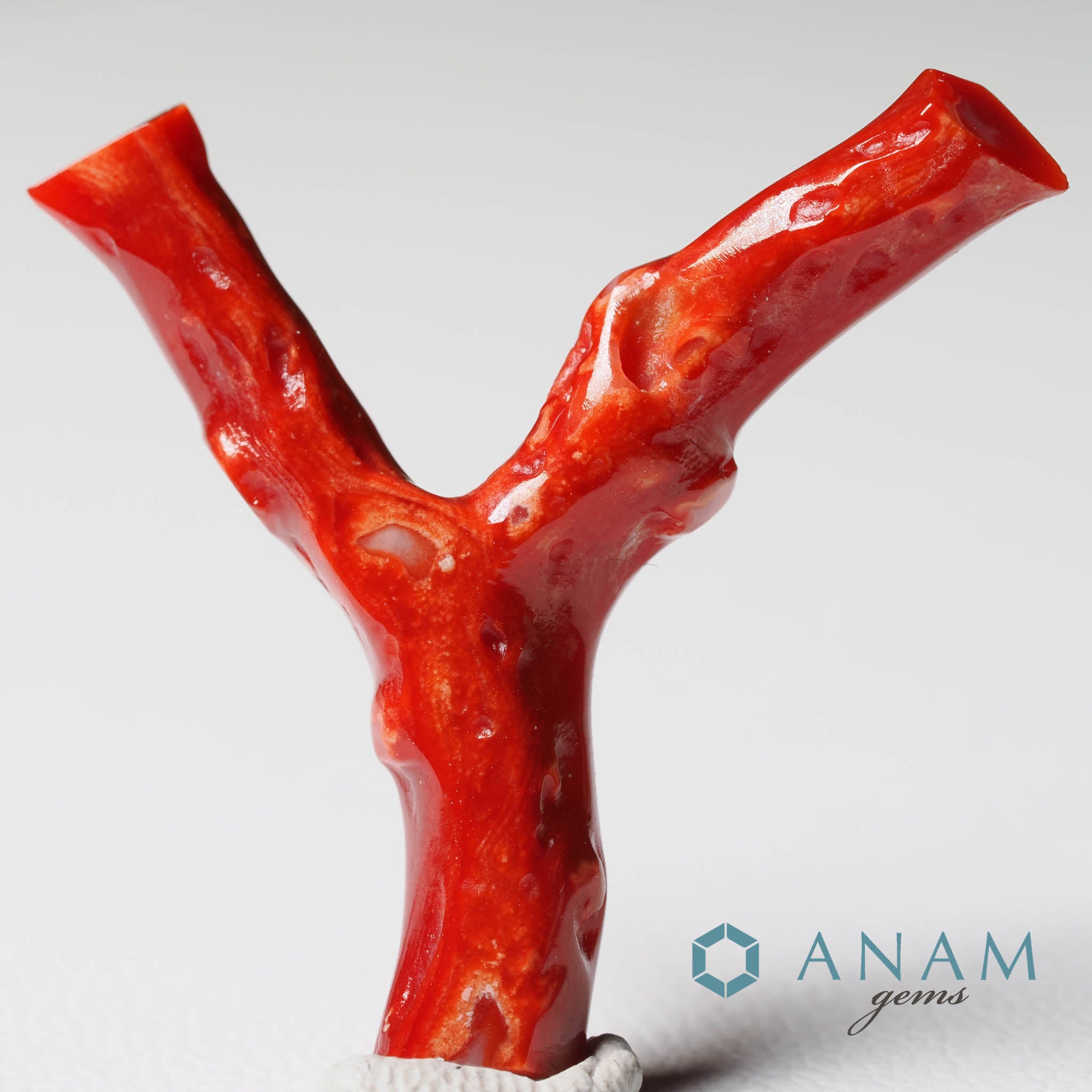 高知産 血赤珊瑚 枝 ルース‖ANAM gems（アナムジェムズ）-ハンドメイド