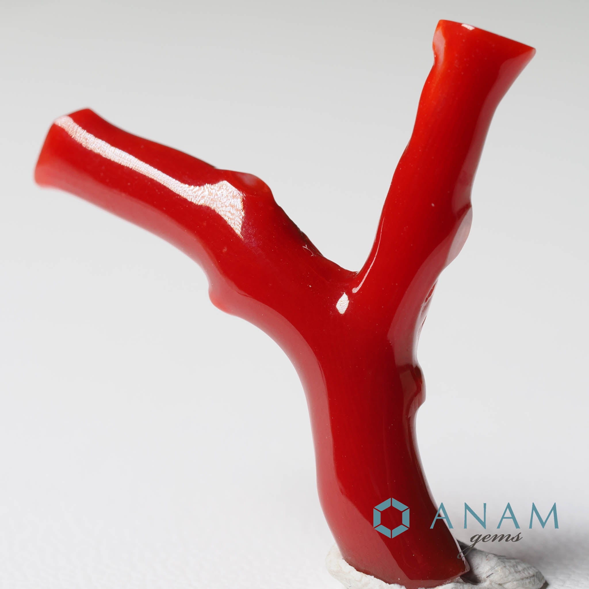 血赤珊瑚 高知産 血赤珊瑚 枝 ルース‖ANAM gems（アナムジェムズ）-ハンドメイド