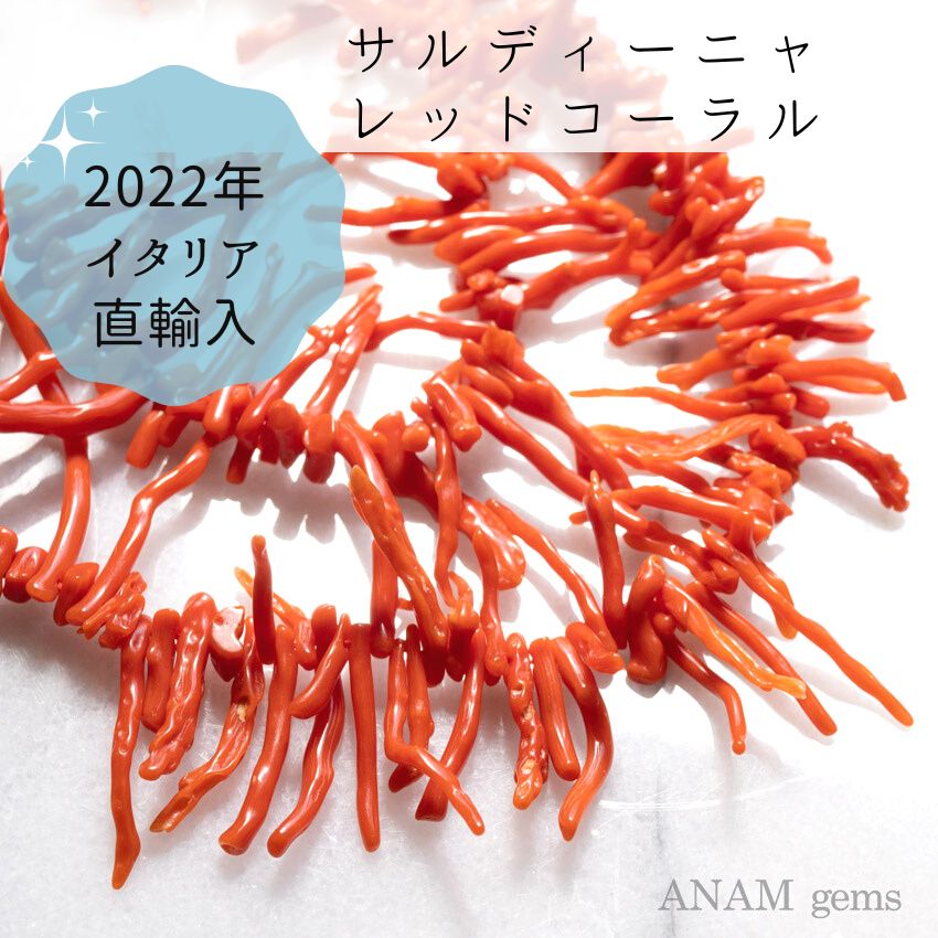 【Natural color】 【60 cm long】 Saldinya Natural coral (Red Coral)