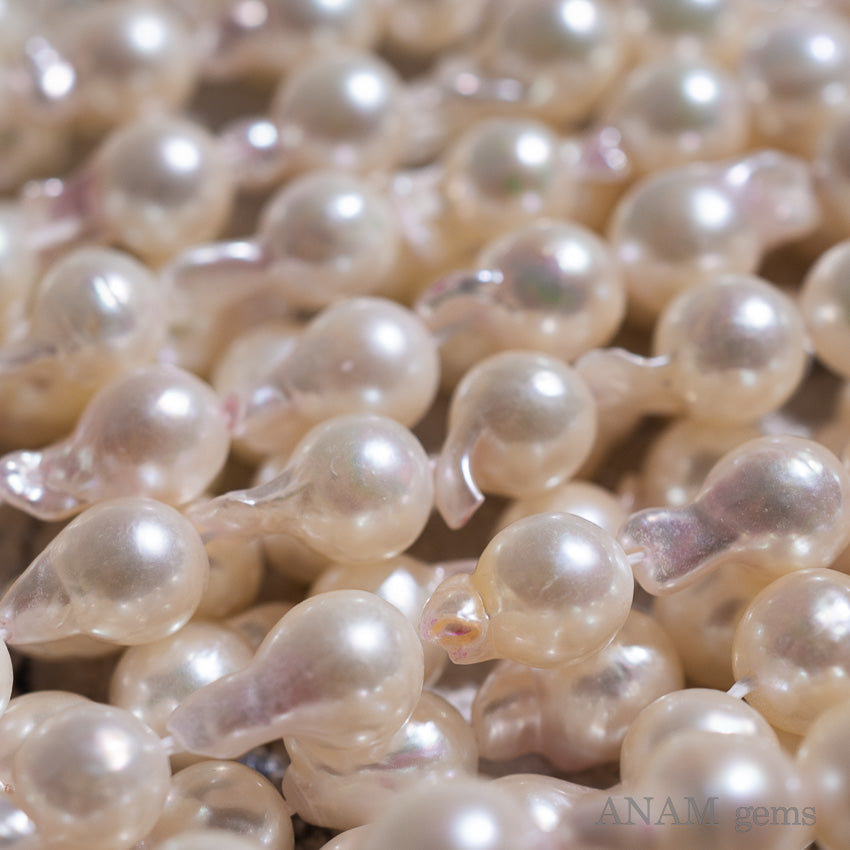 ●256　パール祭り！！天然アコヤ本真珠ネックレス　8.0～8.5mm珠ホワイト